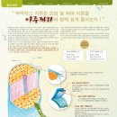 연화헤어 Daum카페