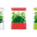 GreenFarm 이미지