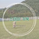 스테이 기북 이미지