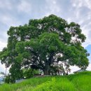 당산마을 화장실 이미지