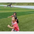 김태영축구장 이미지