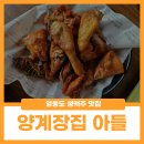 양계장집아들영종