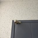 에코르아파트 이미지