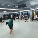 국관장체육관 | 전주 주짓수 로드FC 전주평화점