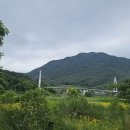 와룡체육공원 이미지