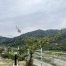 지리산1박2일펜션 | 지리산팔베개펜션 하동 지리산 둘레길 뷰 1박2일 내돈내산 방문후기