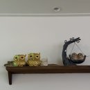 요리하는술집 - 안양시 만안구 | 제주 연삼로 술집 추천 :: 직접 잡은 해산물로 요리하는 두족류포차 후기