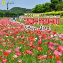 3년만에 열리는 장성황룡강 꽃길축제 이미지