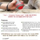 제일2차동물메디컬센터 이미지