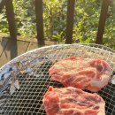 339빌리지태안안면도독채펜션 이미지