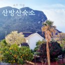 미르빌 앞 | 제주 산방산 숙소 미르빌펜션앤리조트 가성비 최고