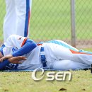 오수 OSEN