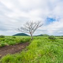 세현목장 이미지