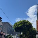 세븐일레븐제주연동노연점 | 제주 노연동 해장 맛집 추천｜속 시원한 제주 일품 순두부 후기