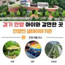 황금개구리 | 아이와 함께 가볼만한 곳, 안양천생태이야기관 3D 기차·개구리 체험