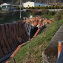 계산보건진료소 이미지