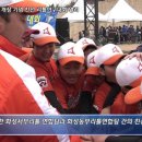 향남 야구장 야구장 네이버블로그