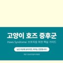 장승준동물치과병원 이미지