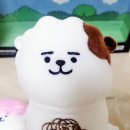 (주)알케이알(RKR) | BT21 RJ 알제이 가족 유니버스 스탠딩 인형 구입 후기