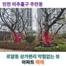 주안열린치과의원 이미지