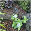 스테이 이음 이미지