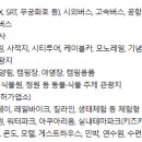 누리 이미지