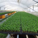 준서네 농장 이미지