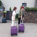 구엄초등학교 | [19. 제주] 8월의 제주도 1일. 에어비앤비에서 구한 8명 단체숙소 - 언덕 위 하얀집 -