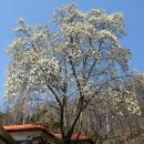 숲이랑농원 이미지