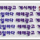 서진자동차매매상사 Daum카페