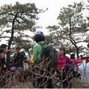 박창규2호 이미지