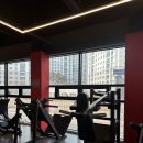 일프로짐 이미지