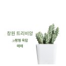 대운부동산중개사무소 네이버블로그