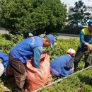 봉래2동-10 이미지