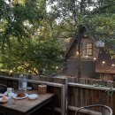 동화숲민박 | [경기/평택]숲속동화같은공간“평택트리하우스”셀프웨딩촬영