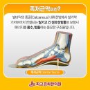 춘천우리한의원 이미지