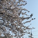 동심동물병원 | 2026년 4월 일상 - 인생의 회전목마