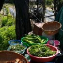 오리친구농장 이미지