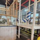 키즈필키즈카페 이미지