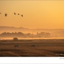 동트는 아침 이미지