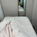 (주)아성다이소 대전용문점 | 대전 용문동 왁싱 추천 / 브로우&amp;인중 왁싱 받은 후기 (전,후 비교 사진有)