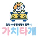 댕스럽개 이미지