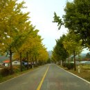 은행자동차(주) 이미지