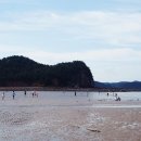 충남-태안-어은돌해수욕장 이미지