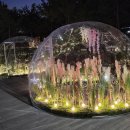 장자호수생태공원 이미지