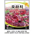 모종샐러드 이미지
