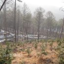용인시 처인구 용인자연휴양림 (주)경기 타임스