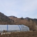 남산초등학교서천분교장 네이버블로그