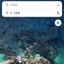 레드호스텔 | 호주 퍼스🇦🇺 7박 10일 여행 (1) : 할많하않 스쿠트 항공, 호스텔G, 로트네스트 섬 쿼카 보기✨