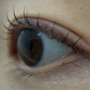 7366 | 대구 수성구 황금동속눈썹 수성구속눈썹펌 잘하는집 II 포유래쉬 II 시술후기